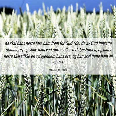 Picture 06 - 2 Mosebok 21:6 NORSK - da skal hans herre føre ham frem for Gud {de. de - Bible Verse Picture