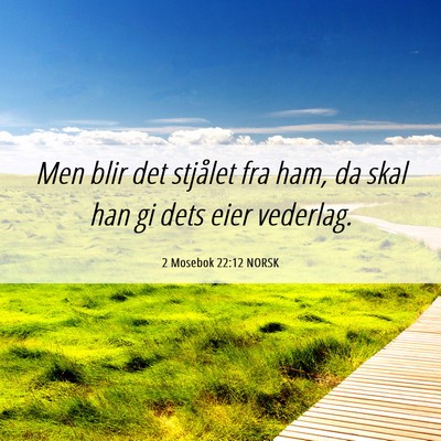 Picture 06 - 2 Mosebok 22:12 NORSK - Men blir det stjålet fra ham, da skal han gi - Bible Verse Picture