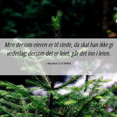 Picture 06 - 2 Mosebok 22:15 NORSK - Men dersom eieren er til stede, da skal han ikke - Bible Verse Picture