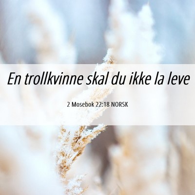Picture 06 - 2 Mosebok 22:18 NORSK - En trollkvinne skal du ikke la - Bible Verse Picture