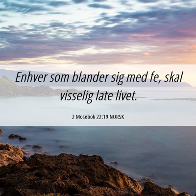 Picture 06 - 2 Mosebok 22:19 NORSK - Enhver som blander sig med fe, skal visselig late - Bible Verse Picture