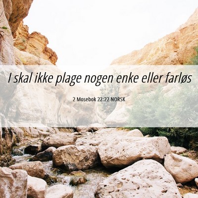 Picture 06 - 2 Mosebok 22:22 NORSK - I skal ikke plage nogen enke eller - Bible Verse Picture
