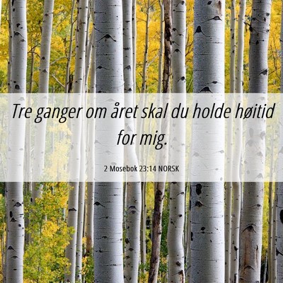 Picture 06 - 2 Mosebok 23:14 NORSK - Tre ganger om året skal du holde høitid for - Bible Verse Picture