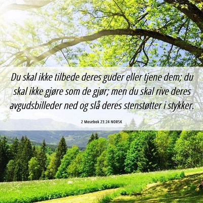 Picture 06 - 2 Mosebok 23:24 NORSK - Du skal ikke tilbede deres guder eller tjene dem; - Bible Verse Picture
