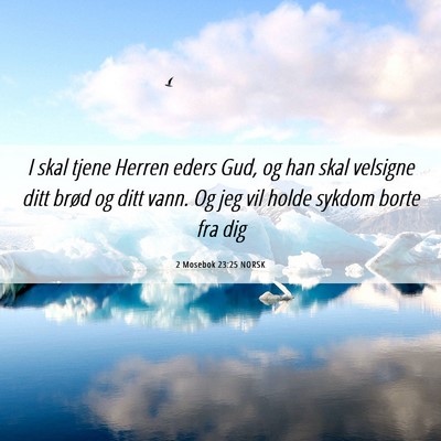 Picture 06 - 2 Mosebok 23:25 NORSK - I skal tjene Herren eders Gud, og han skal - Bible Verse Picture