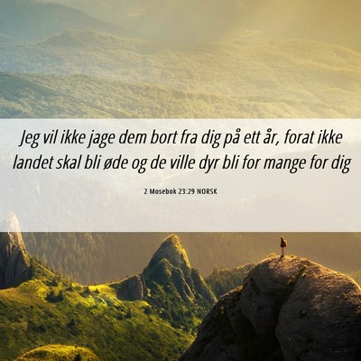 Picture 06 - 2 Mosebok 23:29 NORSK - Jeg vil ikke jage dem bort fra dig på ett år, - Bible Verse Picture