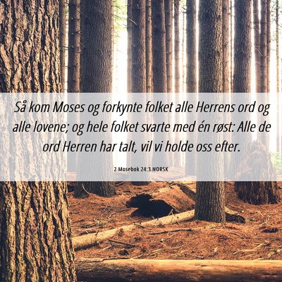 Picture 06 - 2 Mosebok 24:3 NORSK - Så kom Moses og forkynte folket alle Herrens ord - Bible Verse Picture