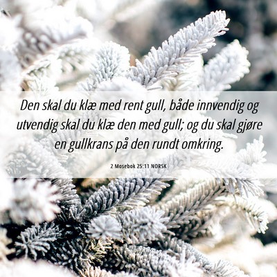 Picture 06 - 2 Mosebok 25:11 NORSK - Den skal du klæ med rent gull, både innvendig - Bible Verse Picture