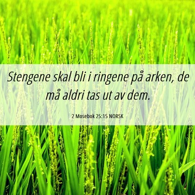 Picture 06 - 2 Mosebok 25:15 NORSK - Stengene skal bli i ringene på arken, de må - Bible Verse Picture