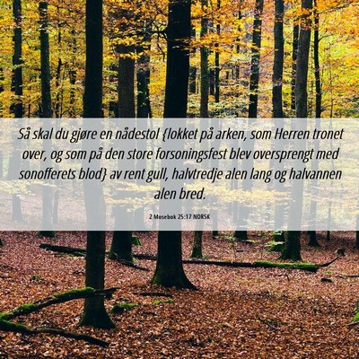 Picture 06 - 2 Mosebok 25:17 NORSK - Så skal du gjøre en nådestol {lokket på - Bible Verse Picture