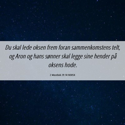 Picture 06 - 2 Mosebok 29:10 NORSK - Du skal lede oksen frem foran sammenkomstens - Bible Verse Picture