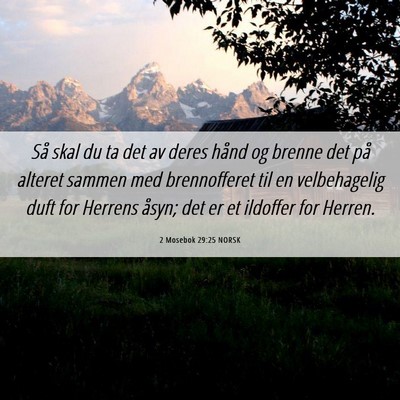 Picture 06 - 2 Mosebok 29:25 NORSK - Så skal du ta det av deres hånd og brenne det - Bible Verse Picture