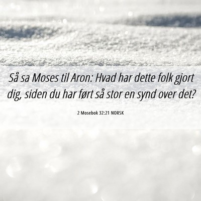 Picture 06 - 2 Mosebok 32:21 NORSK - Så sa Moses til Aron: Hvad har dette folk gjort - Bible Verse Picture