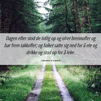 Picture 06 - 2 Mosebok 32:6 NORSK - Dagen efter stod de tidlig op og ofret brennoffer - Bible Verse Picture