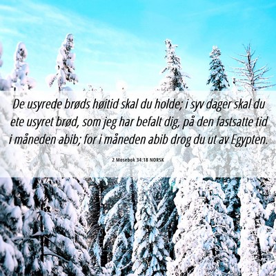 Picture 06 - 2 Mosebok 34:18 NORSK - De usyrede brøds høitid skal du holde; i syv - Bible Verse Picture