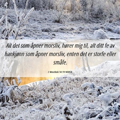 Picture 06 - 2 Mosebok 34:19 NORSK - Alt det som åpner morsliv, hører mig til, alt - Bible Verse Picture