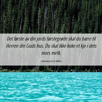 Picture 06 - 2 Mosebok 34:26 NORSK - Det første av din jords førstegrøde skal du - Bible Verse Picture
