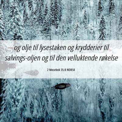 Picture 06 - 2 Mosebok 35:8 NORSK - og olje til lysestaken og krydderier til - Bible Verse Picture