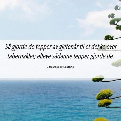 Picture 06 - 2 Mosebok 36:14 NORSK - Så gjorde de tepper av gjetehår til et dekke - Bible Verse Picture