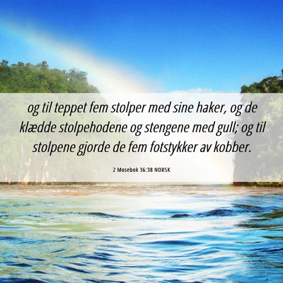 Picture 06 - 2 Mosebok 36:38 NORSK - og til teppet fem stolper med sine haker, og de - Bible Verse Picture