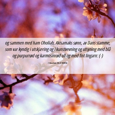 Picture 06 - 2 Mosebok 38:23 NORSK - og sammen med ham Oholiab, Akisamaks sønn, av - Bible Verse Picture