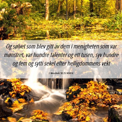 Picture 06 - 2 Mosebok 38:25 NORSK - Og sølvet som blev gitt av dem i menigheten som - Bible Verse Picture