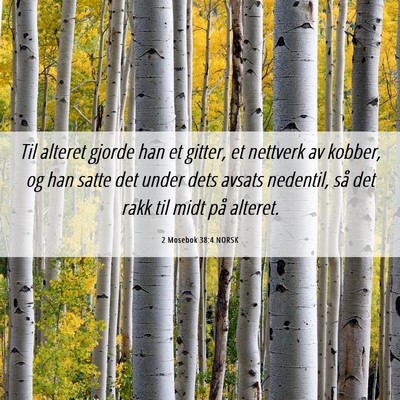 Picture 06 - 2 Mosebok 38:4 NORSK - Til alteret gjorde han et gitter, et nettverk av - Bible Verse Picture