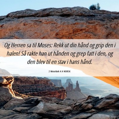 Picture 06 - 2 Mosebok 4:4 NORSK - Og Herren sa til Moses: Rekk ut din hånd og grip - Bible Verse Picture