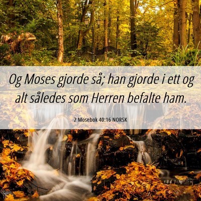 Picture 06 - 2 Mosebok 40:16 NORSK - Og Moses gjorde så; han gjorde i ett og alt - Bible Verse Picture