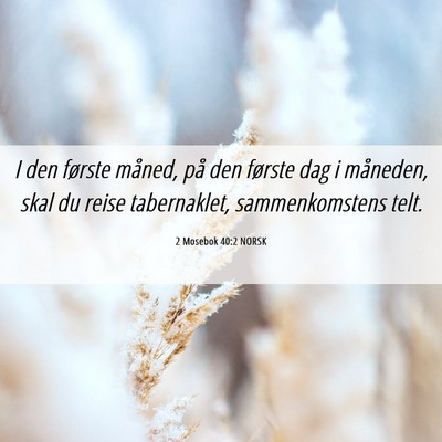Picture 06 - 2 Mosebok 40:2 NORSK - I den første måned, på den første dag i - Bible Verse Picture