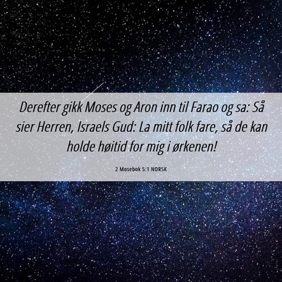 Picture 06 - 2 Mosebok 5:1 NORSK - Derefter gikk Moses og Aron inn til Farao og sa: - Bible Verse Picture