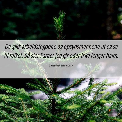 Picture 06 - 2 Mosebok 5:10 NORSK - Da gikk arbeidsfogdene og opsynsmennene ut og sa - Bible Verse Picture