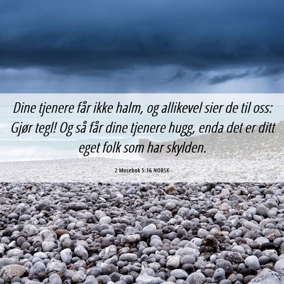 Picture 06 - 2 Mosebok 5:16 NORSK - Dine tjenere får ikke halm, og allikevel sier de - Bible Verse Picture