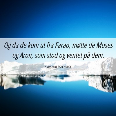Picture 06 - 2 Mosebok 5:20 NORSK - Og da de kom ut fra Farao, møtte de Moses og - Bible Verse Picture