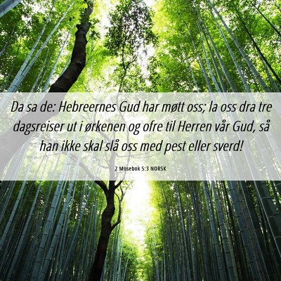 Picture 06 - 2 Mosebok 5:3 NORSK - Da sa de: Hebreernes Gud har møtt oss; la oss - Bible Verse Picture