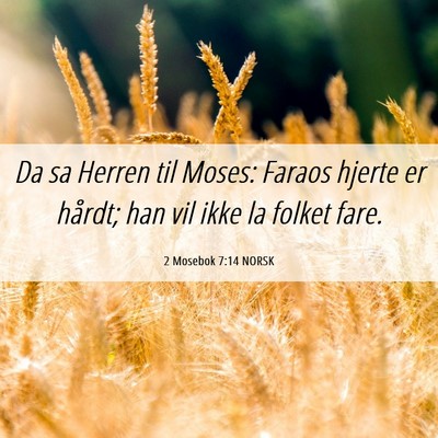 Picture 06 - 2 Mosebok 7:14 NORSK - Da sa Herren til Moses: Faraos hjerte er hårdt; - Bible Verse Picture