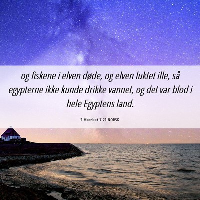 Picture 06 - 2 Mosebok 7:21 NORSK - og fiskene i elven døde, og elven luktet ille, - Bible Verse Picture