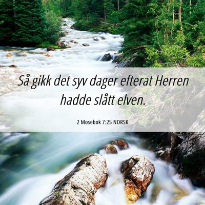 Picture 06 - 2 Mosebok 7:25 NORSK - Så gikk det syv dager efterat Herren hadde - Bible Verse Picture