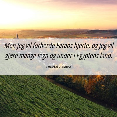 Picture 06 - 2 Mosebok 7:3 NORSK - Men jeg vil forherde Faraos hjerte, og jeg vil - Bible Verse Picture