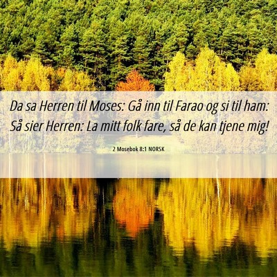 Picture 06 - 2 Mosebok 8:1 NORSK - Da sa Herren til Moses: Gå inn til Farao og si - Bible Verse Picture