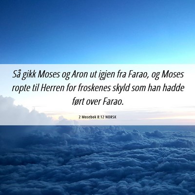 Picture 06 - 2 Mosebok 8:12 NORSK - Så gikk Moses og Aron ut igjen fra Farao, og - Bible Verse Picture
