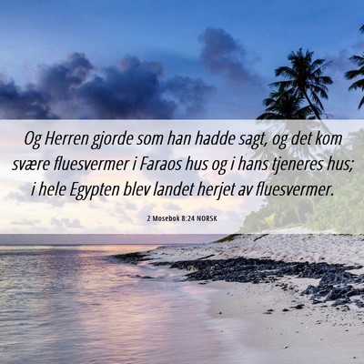Picture 06 - 2 Mosebok 8:24 NORSK - Og Herren gjorde som han hadde sagt, og det kom - Bible Verse Picture
