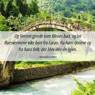 Picture 06 - 2 Mosebok 8:31 NORSK - Og Herren gjorde som Moses bad, og lot - Bible Verse Picture