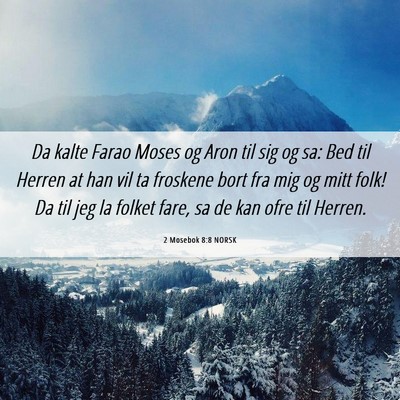Picture 06 - 2 Mosebok 8:8 NORSK - Da kalte Farao Moses og Aron til sig og sa: Bed - Bible Verse Picture