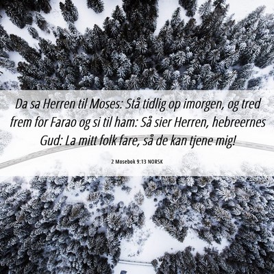 Picture 06 - 2 Mosebok 9:13 NORSK - Da sa Herren til Moses: Stå tidlig op imorgen, - Bible Verse Picture