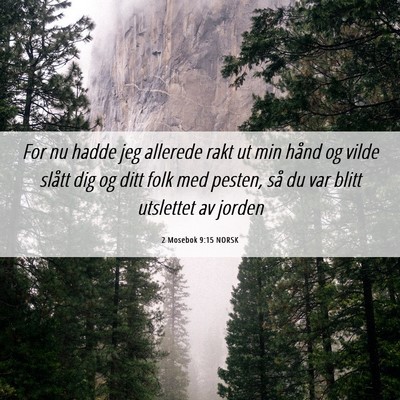 Picture 06 - 2 Mosebok 9:15 NORSK - For nu hadde jeg allerede rakt ut min hånd og - Bible Verse Picture
