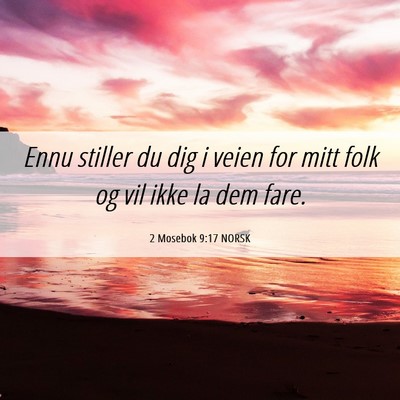 Picture 06 - 2 Mosebok 9:17 NORSK - Ennu stiller du dig i veien for mitt folk og vil - Bible Verse Picture