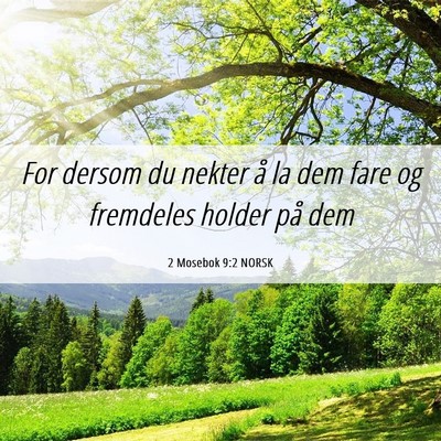 Picture 06 - 2 Mosebok 9:2 NORSK - For dersom du nekter å la dem fare og fremdeles - Bible Verse Picture