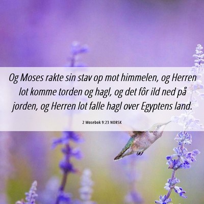 Picture 06 - 2 Mosebok 9:23 NORSK - Og Moses rakte sin stav op mot himmelen, og - Bible Verse Picture
