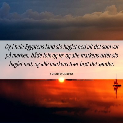 Picture 06 - 2 Mosebok 9:25 NORSK - Og i hele Egyptens land slo haglet ned alt det - Bible Verse Picture